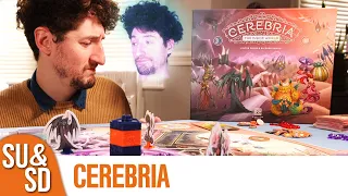 Cerebria: Emotional Turmoil with a Purple Pillar