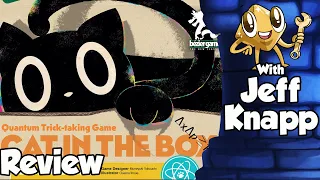 Cat in the Box Review - with Jeff Knapp
