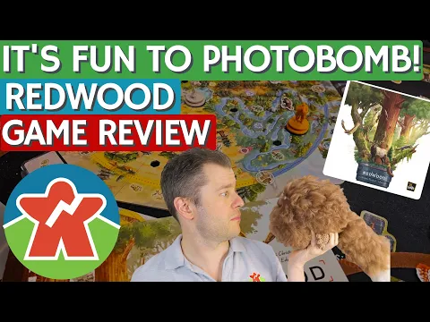 Redwood - Board Game Review - It's Fun To Photobomb!