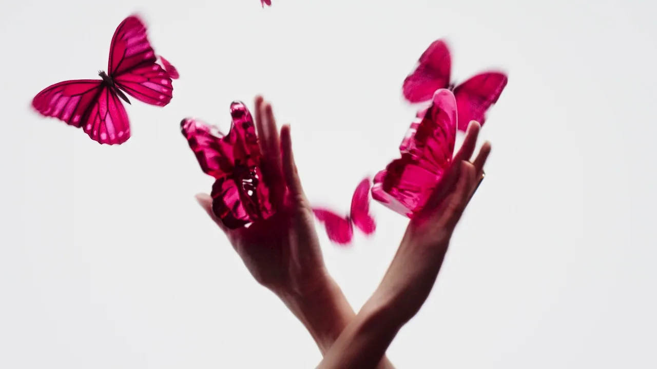 Vídeo de Sanubya Perfumaria