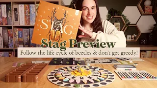 Stag Preview! | Follow the life cycle of beetles, but don't get greedy!