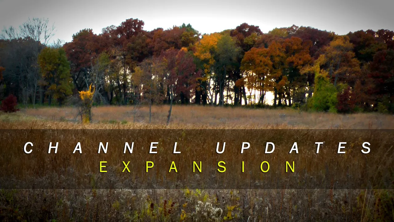 CHANNEL UPDATES - EXPANSION