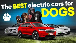 Best electric cars for dogs 2022