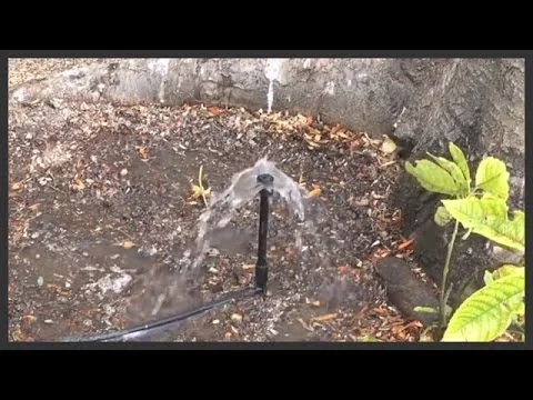 Gotejador Borbulhador com Estaca 180º Rain Bird