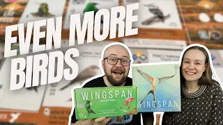 Now with tiny birds! - Wingspan: Americas Expansion Review