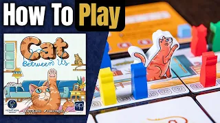 Cat Between Us | How to Play | Learn to Play in 4 Minutes!
