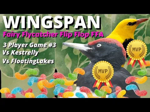 MVP Black Woodpecker/Golden Oriole! Wingspan Tournament