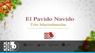 El Pavido Navido, Trio Marimbancha - Audio