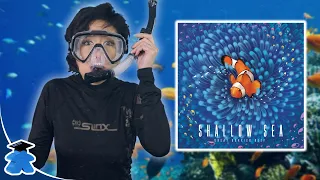 Shallow Sea - Fin-tastic draft and multi-layered tile placement