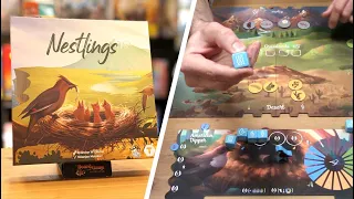 How to Play & What's to Love || NESTLINGS