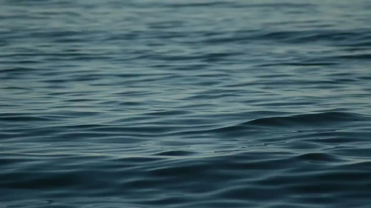 Vídeo de Além Maré