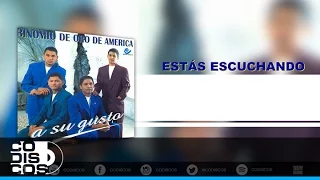 Te Eche De Menos, Binomio De Oro De América - Audio