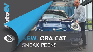 Sneak Peek - Will 2022 be The Year of the Cat?