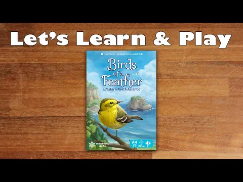Let's Learn & Play Birds of a Feather