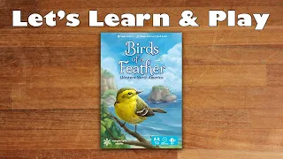 Let's Learn & Play Birds of a Feather