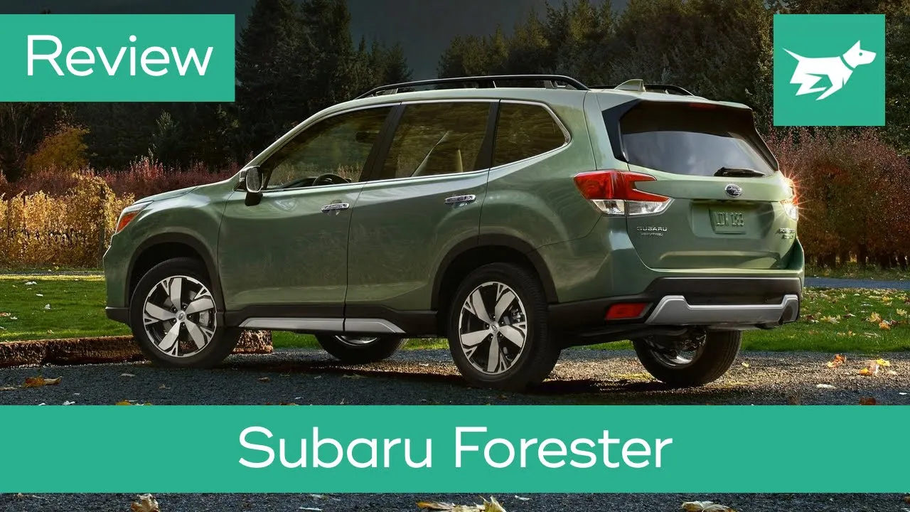 Subaru Forester 2019 review – The Practical Crossover