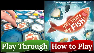 Hey, That's My Fish!: How to Play & Play Through (2023 edition)
