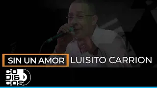 Sin Un Amor, Luisito Carrion - Vídeo Letra