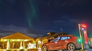 Bjørning 2015 part 2