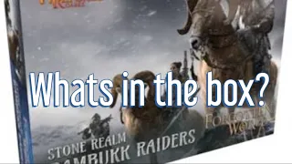 UNBOXING Rambukk Raiders, by Fireforge games