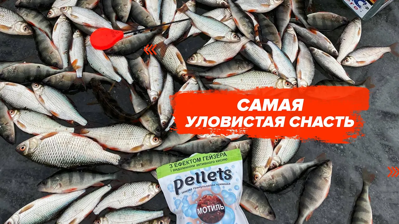 rybalka