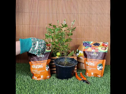 Fertlizante Frutas Orgânico
