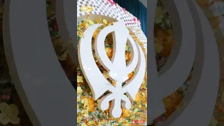 Dhadrianwale video reel Mann Mere