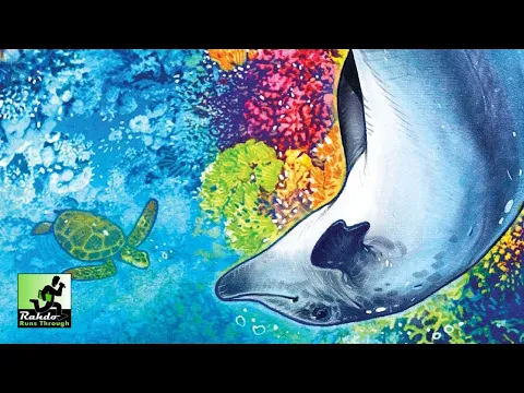 AQUA |  A Rahdo Runthrough by Amy & Maggie
