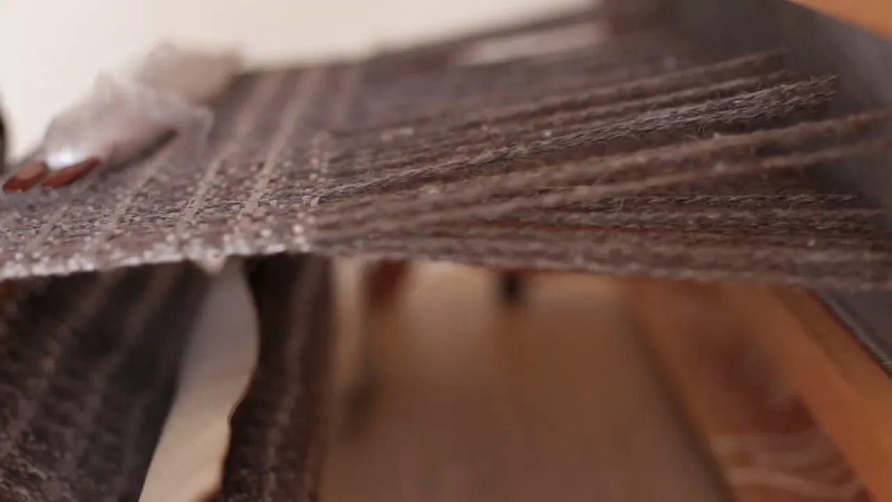 Video de WARAÑA