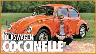 Volkswagen COCCINELLE (1972)  🇩🇪 On a tous un souvenir en Cox, quel est le votre ? 👌