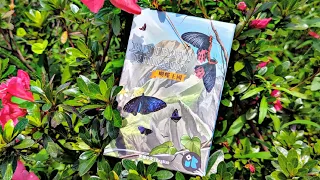 Butterfly Kingdom Card Game