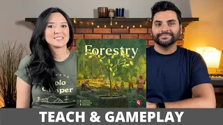Forestry - Board Game Teach & Playthrough