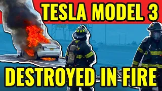 Tesla Model 3 Burns Up In New Jersey. Are EVs More Prone To Catch Fire?
