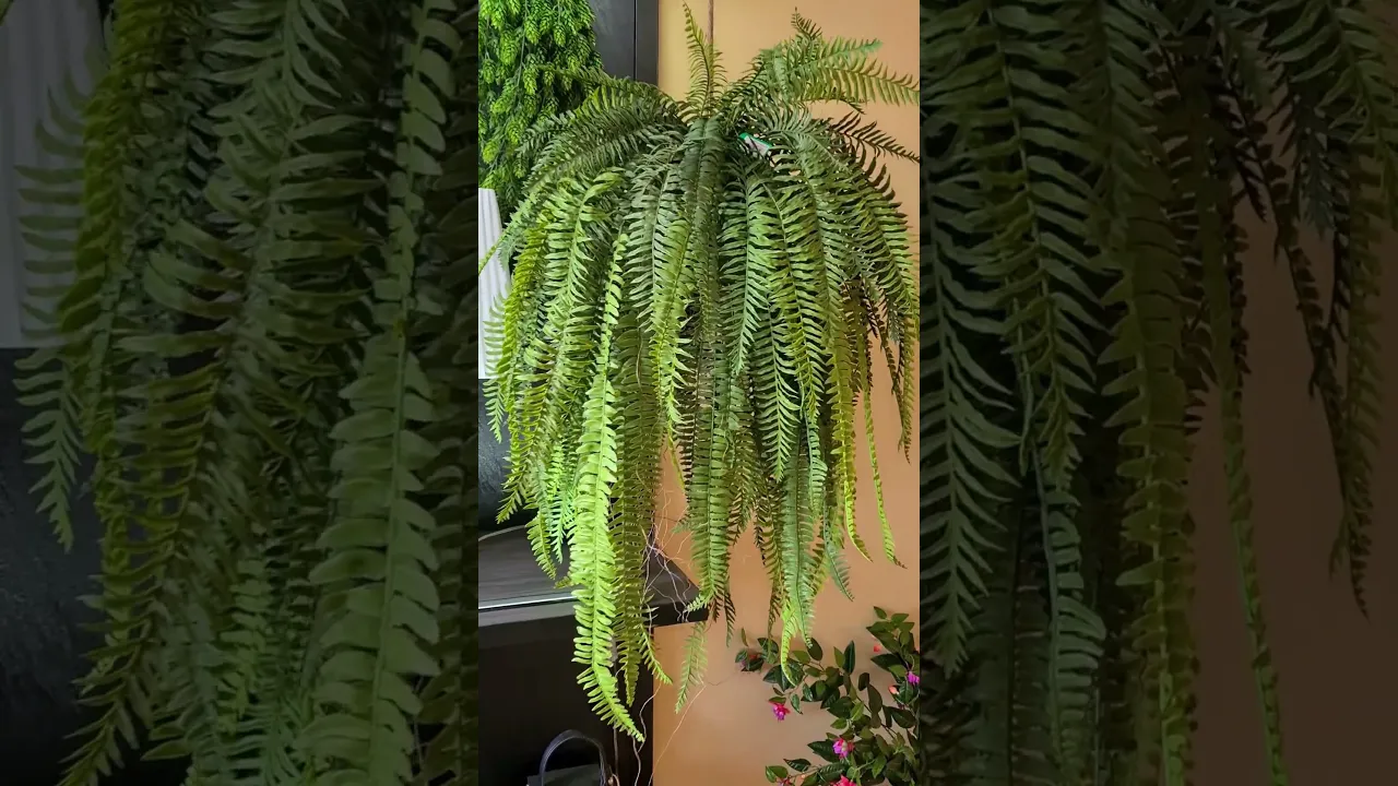 Искусственное растение Fern Nephrolepis hanging / Папоротник Нефролепис H110cm NKoop EEG