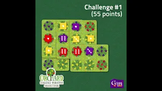 Oplossing #DoeHetThuis Orchard Challenge-Marathon Challenge #1 (55 punten) #shorts