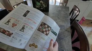 Vagrantsong unboxing - Rule book