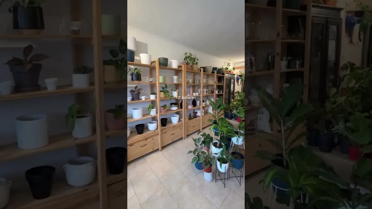 Video de Lz almacén