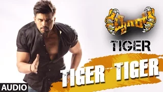 Tiger Kannada Movie Songs | Tiger Tiger Full Song | Pradeep, Madhurima | Arjun Janya | Nanda Kishora