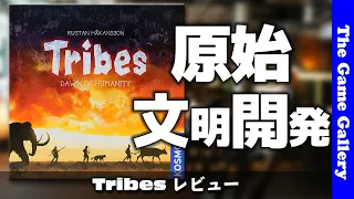 【Tribes】原始時代の文明開発ゲーム / ボードゲーム