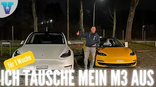 Model 3 oder Model Y & die Frage nach dem passenden Autopilot [Deutsch 4K] | Vision E Drive Nr.209