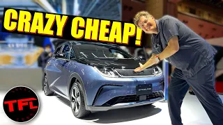 The BYD Dolphin Is The Most Interesting & Super Cheap EV You’ve Never Heard Of!