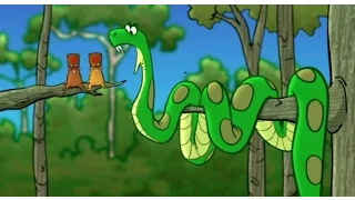 Green Anaconda Song Green Anaconda Song
