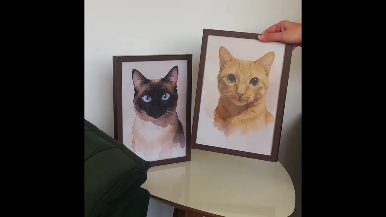 Vídeo de Museu de Casa