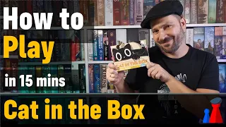 How to play Cat in the Box board game - Full teach + Visuals - Peaky Boardgamer