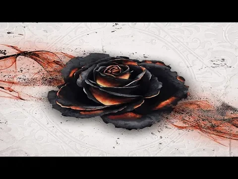 Black Rose Wars: Discussion