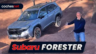 Subaru Forester 2025 | Prueba / Test / Review en español | coches.net