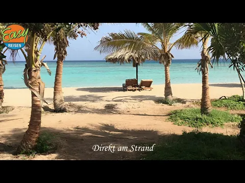 Video vom Hotel Mangrove Bay Resort - Marsa Alam