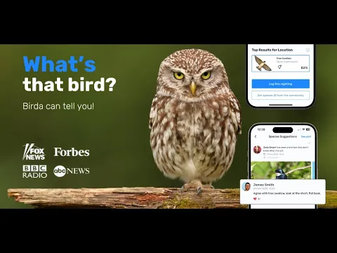 Видео BirdNET
