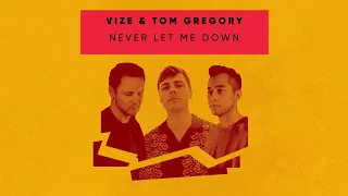 VIZE & Tom Gregory - Never Let Me Down (Visualizer) [Ultra Music]