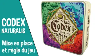 Codex Naturalis - Mise en place et règle du jeu + mon avis